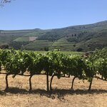 Photo taken by Russ K