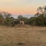 Photo taken by Chris K