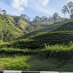 Photo taken by Randall C