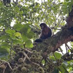 Photo taken by Emily H