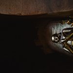 Photo taken by Terrence Y