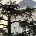 Photo taken by Colleen P