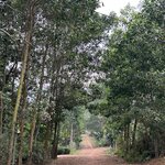 Photo taken by Susan R