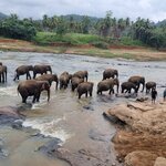 Photo taken by Tanya G