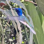 Photo taken by Thomas R