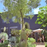 Photo taken by Patricia O