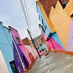 Photo taken by Collins M