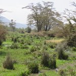 Photo taken by Kristin M