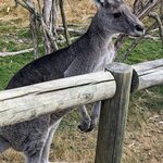 Photo taken by Daniel S