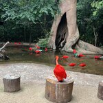 Photo taken by Andrew S