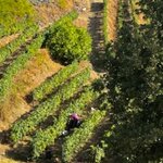 Photo taken by Shelley H