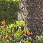 Photo taken by Marcia G