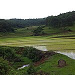 We liked the train trips. They gave us a higher view of the country side. | Photo taken by Rodney S