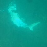 Photo taken by Gary W