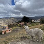 Photo taken by enrique jose g