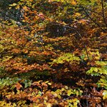 Photo taken by Patty L