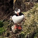 Photo taken by Debbie W