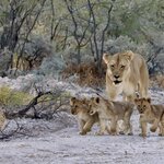 Photo taken by Joaquin M