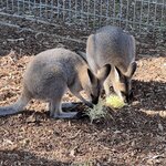 Photo taken by Rosemary S