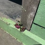 Photo taken by yancey A