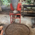 Photo taken by Jessica S