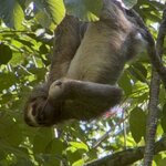 Photo taken by Ora Y