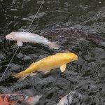 Photo taken by Naomi B