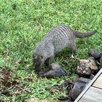 Photo taken by rhonda c