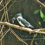 Photo taken by Touraj K