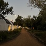 Photo taken by Christopher F