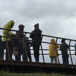 Photo taken by PETER S