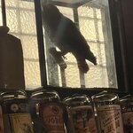 Photo taken by Robin C