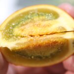 Photo taken by Erika P