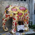 Photo taken by Janice D