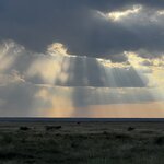 Photo taken by Peter L