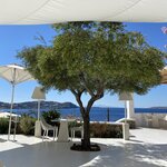 Photo taken by Carole D