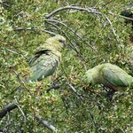 Photo taken by sam s