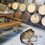 Photo taken by Shelley H