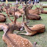 Photo taken by Deborah C