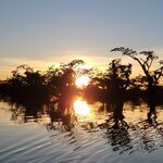 Photo taken by Tom B