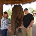 Photo taken by Terri M