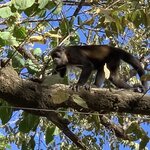 Photo taken by Patrice G