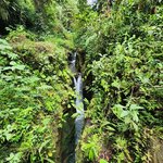 Photo taken by Lisa T