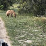 Photo taken by Crystall P