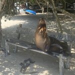 Photo taken by Nicole S