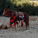 Photo taken by Beata p