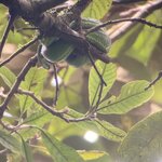 Photo taken by Kim L