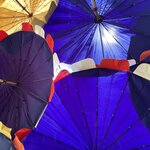 Photo taken by sarah p