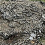 Photo taken by Mike D