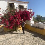 Photo taken by Dee C